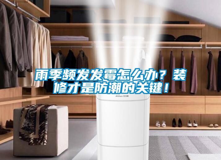 雨季頻發發黴怎麽辦？裝修才是防潮的關鍵！