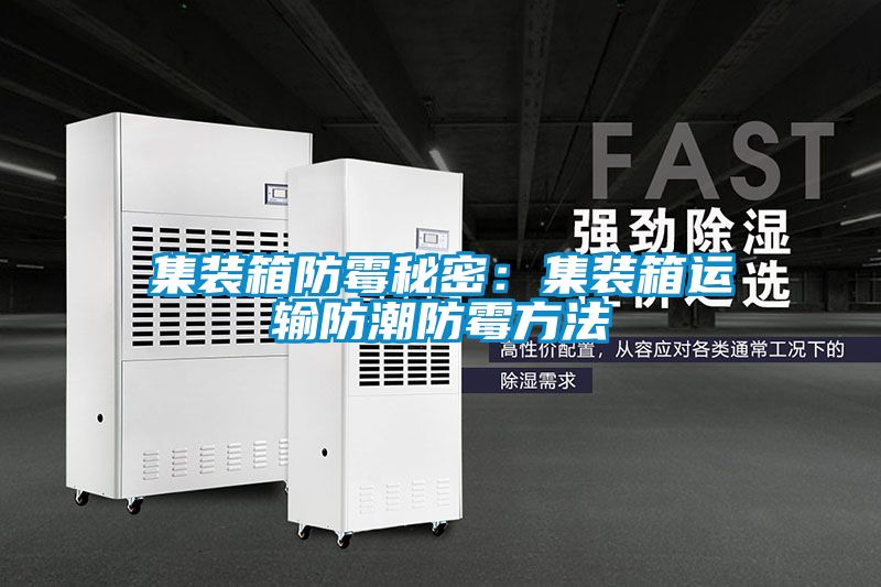 集裝箱防黴秘密：集裝箱運輸防潮防黴方法