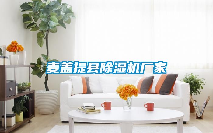 麥蓋提縣91看片网站视频機廠家