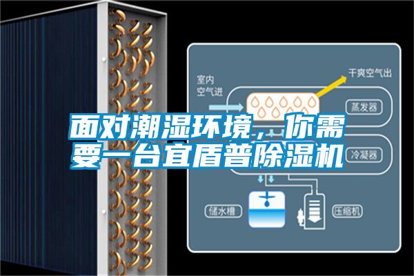 麵對潮濕環境，你需要一台宜盾普91看片网站视频機