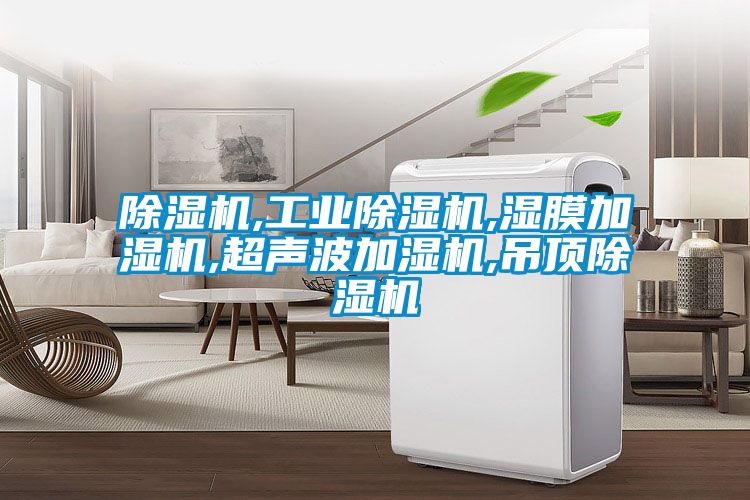 91看片网站视频機,工業91看片网站视频機,濕膜加濕機,超聲波加濕機,吊頂91看片网站视频機