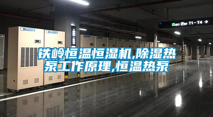 鐵嶺恒溫恒濕機,91看片网站视频熱泵工作原理,恒溫熱泵
