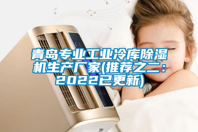 青島專業工業冷庫91看片网站视频機生產廠家(推薦之二：2022已更新)