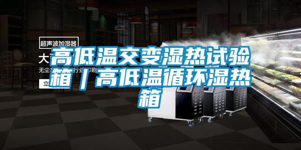 高低溫交變濕熱試驗箱︱高低溫循環濕熱箱