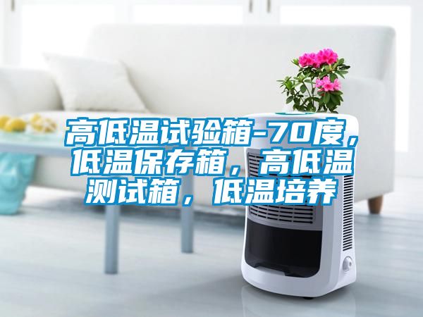 高低溫試驗箱-70度，低溫保存箱，高低溫測試箱，低溫培養