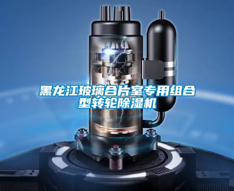 黑龍江玻璃合片室專用組合型轉輪91看片网站视频機