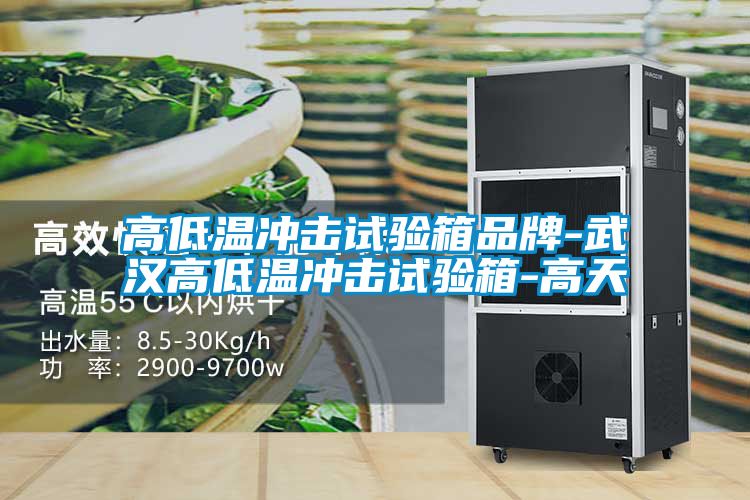 高低溫衝擊試驗箱品牌-武漢高低溫衝擊試驗箱-高天