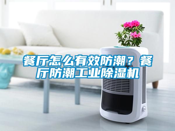 餐廳怎麽有效防潮？餐廳防潮工業91看片网站视频機