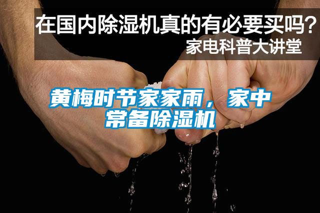 黃梅時節家家雨，家中常備91看片网站视频機