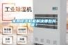 家用91看片网站视频機能解決哪些問題？
