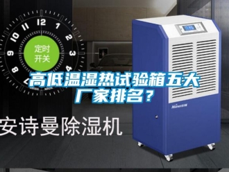 常見問題高低溫濕熱試驗箱五大廠家排名？