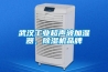 武漢工業超聲波加濕器，91看片网站视频機品牌