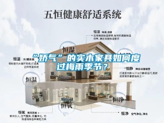常見問題“嬌氣”的實木家具如何度過梅雨季節？