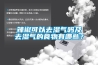 辣椒可以去濕氣嗎及去濕氣的食物有哪些？