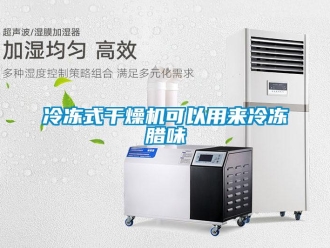 行業免费污视频看片APP冷凍式幹燥機可以用來冷凍臘味