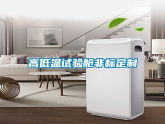 常見問題高低溫試驗艙非標定製
