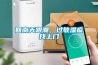 回南天跟潮，過敏濕疹找上門