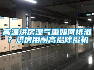行業免费污视频看片APP高溫烘房濕氣重如何排濕？烘房用耐高溫91看片网站视频機