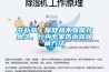 滋補品、保健品不宜保存太久，行內專家告訴你儲藏方法