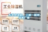 東莞91看片网站视频機，三機一體91看片网站视频機廠家