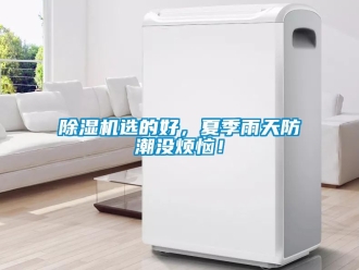 行業免费污视频看片APP91看片网站视频機選的好，夏季雨天防潮沒煩惱！
