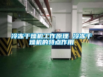 行業免费污视频看片APP冷凍幹燥機工作原理 冷凍幹燥機的特點作用