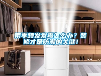 常見問題雨季頻發發黴怎麽辦？裝修才是防潮的關鍵！