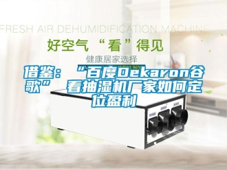 常見問題借鑒：“百度Dekaron穀歌” 看抽濕機廠家如何定位盈利