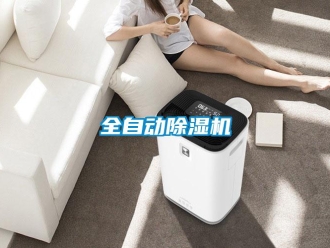 行業免费污视频看片APP全自動91看片网站视频機