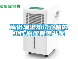 常見問題高低溫濕熱試驗箱的工作原理有哪些呢
