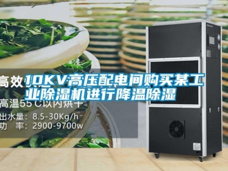 常見問題10KV高壓配電間購買某工業91看片网站视频機進行降溫91看片网站视频