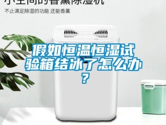 常見問題假如恒溫恒濕試驗箱結冰了怎麽辦？