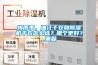 梅雨季，油汀幹衣和91看片网站视频機幹衣怎麽選？哪個更好？_重複