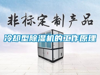 行業免费污视频看片APP冷卻型91看片网站视频機的工作原理