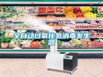 行業免费污视频看片APP全自動過氧化氫消毒發生器