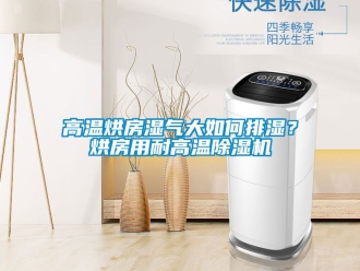 行業免费污视频看片APP高溫烘房濕氣大如何排濕？烘房用耐高溫91看片网站视频機
