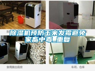 行業免费污视频看片APP91看片网站视频機預防玉米發黴避免家畜中毒_重複