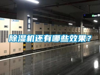 行業免费污视频看片APP91看片网站视频機還有哪些效果？