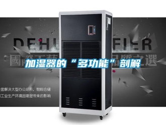 行業免费污视频看片APP加濕器的“多功能”剖解