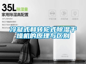 行業免费污视频看片APP冷凝式和轉輪式91看片网站视频幹燥機的原理與區別
