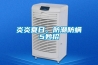 炎炎夏日，防潮防蟎5妙招