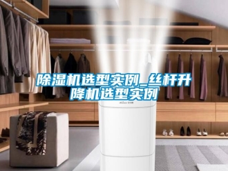 行業免费污视频看片APP91看片网站视频機選型實例_絲杆升降機選型實例