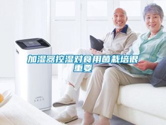 行業免费污视频看片APP加濕器控濕對食用菌栽培很重要