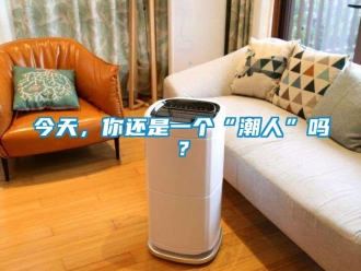 常見問題今天，你還是一個“潮人”嗎？