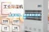 雨來傘擋，潮濕來91看片网站视频機防
