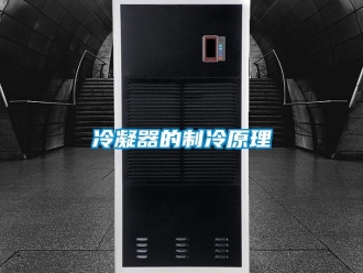 行業免费污视频看片APP冷凝器的製冷原理