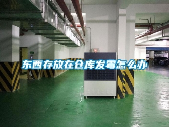 常見問題東西存放在倉庫發黴怎麽辦