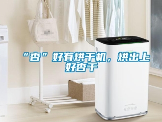 常見問題“杏”好有烘幹機，烘出上好杏幹
