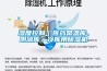 濕度控製｜醫藥常溫庫、陰涼庫、冷庫用91看片网站视频機