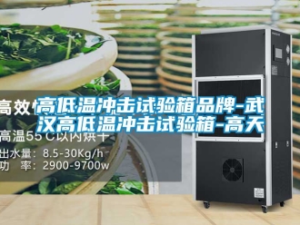 常見問題高低溫衝擊試驗箱品牌-武漢高低溫衝擊試驗箱-高天